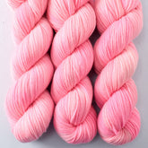 Cat's Meow - Miss Babs Intrepid yarn