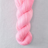 Cat's Meow - Miss Babs Yearning yarn