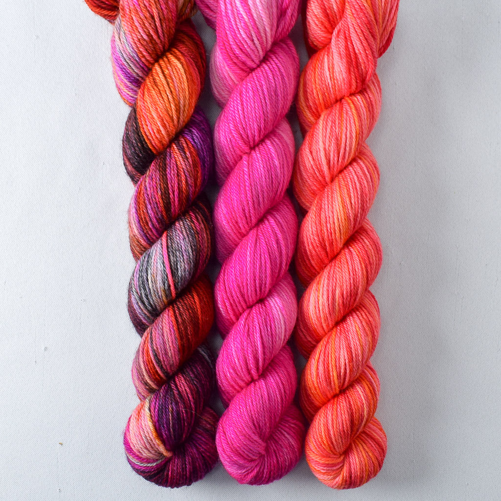 Chasing Dawn, Deep Sea Jellyfish, Hot to Trot - Miss Babs Yowza Mini Trio