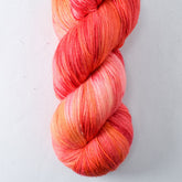 Chasing Dawn - Miss Babs Katahdin yarn