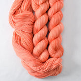 Cherished - Miss Babs Yummy 2-Ply superwash Merino wool yarn