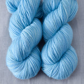 Chirp - Miss Babs Yummy 2-Ply Toes superwash Merino wool yarn