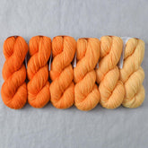 Citrus - Gradient Set