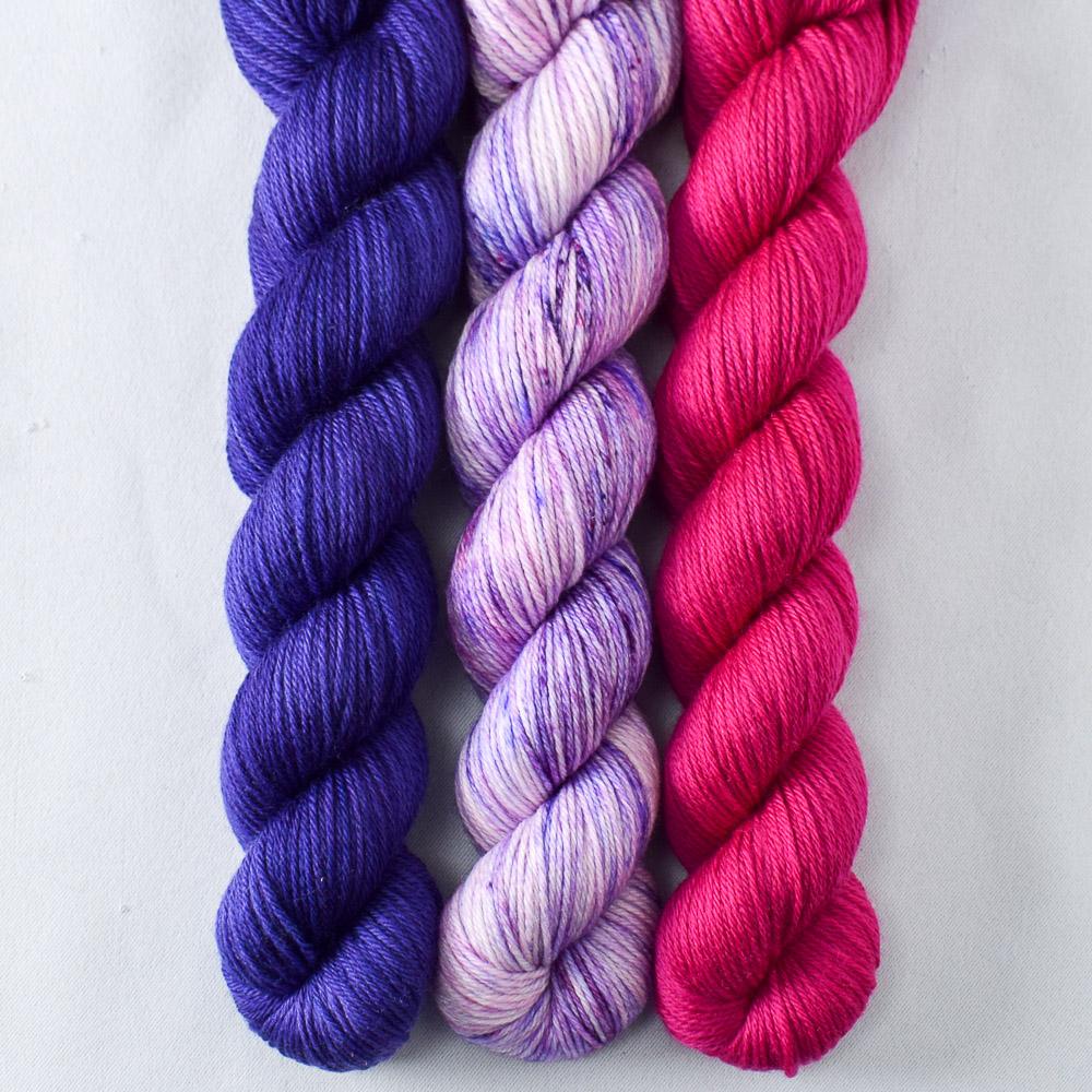 Clematis, Floyd, Purple Joy - Miss Babs Yowza Mini Trio