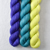 Clematis, Ginkgo, Rainforest - Miss Babs Yowza Mini Trio