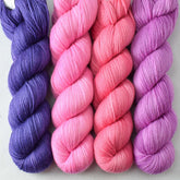 Clematis, Hollyhock, Sweet Pea, Ruchbah - Miss Babs Caroline Quartet