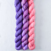 Clematis, Lotus, Purple Mountains - Miss Babs Sojourn Trio