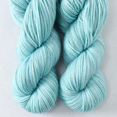 Comets - Miss Babs Yummy 2-Ply Toes superwash Merino wool yarn