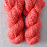 Coral - Miss Babs Yummy 2-Ply Toes superwash Merino wool yarn