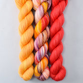 Coral, Coreospsis, Daisies - MDSW 2021 - Miss Babs Yowza Mini Trio