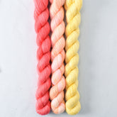 Coral, Dancing Spirit, Sunny - Miss Babs Sojourn Trio