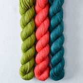Coral, Hops, Mahi Mahi - Miss Babs Yowza Mini Trio