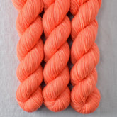 Coral Cod - Miss Babs Yummy 2-Ply superwash Merino wool yarn
