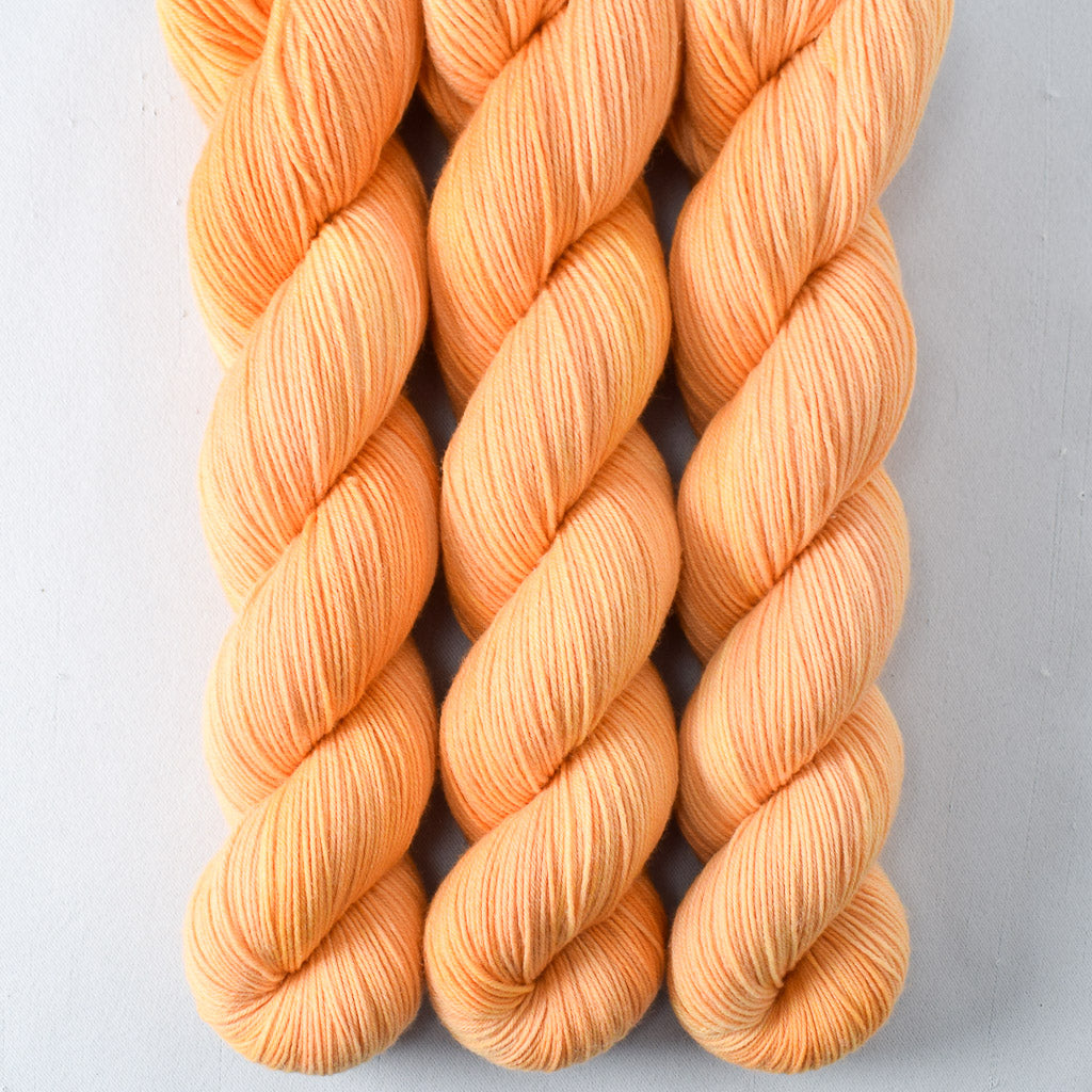 Coreopsis - Miss Babs Putnam yarn