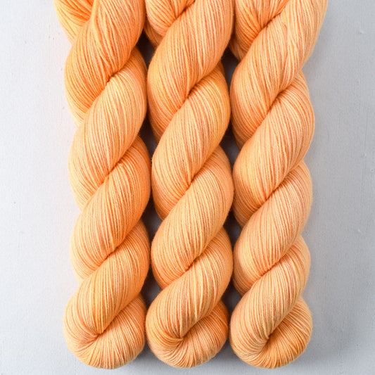 Coreopsis - Miss Babs Putnam yarn