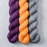 Coreopsis, Spiked Punch, Slate - Miss Babs Yowza Mini Trio