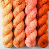 Coreopsis, Sugar Maple 3, Dancing Spirit, Zest - Miss Babs Yummy 2-Ply Quartet