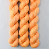 Coreopsis - Miss Babs Yowza Mini superwash Merino wool yarn