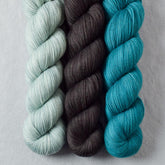 Coventry, Dark Pegasus, Rainforest - Miss Babs Yummy 2-Ply Trio