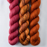 Cranberry, Cygnus, Foxy - Miss Babs Yowza Mini Trio