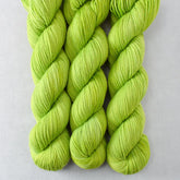 Curiouser and Curiouser - Miss Babs Putnam Merino wool and nylon sock yarn