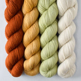 Cygnus, Filigree, Frogbelly, White Peppercorn - Miss Babs Caroline Quartet