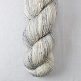 Daguerreotype - Miss Babs Katahdin yarn