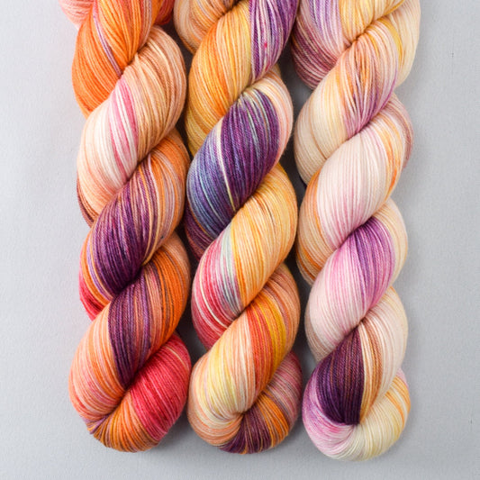 Daisies - Miss Babs Tarte wool blend sock yarn