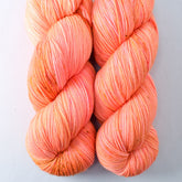 Dancing Spirit - Miss Babs Yowza superwash Merino wool yarn