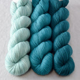 Dark Aquarius, Deer Moss, Rainforest - Miss Babs Yummy 2-Ply Trio