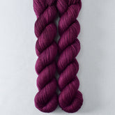 Dark Bougainvillea - Miss Babs Yowza Mini superwash Merino wool yarn