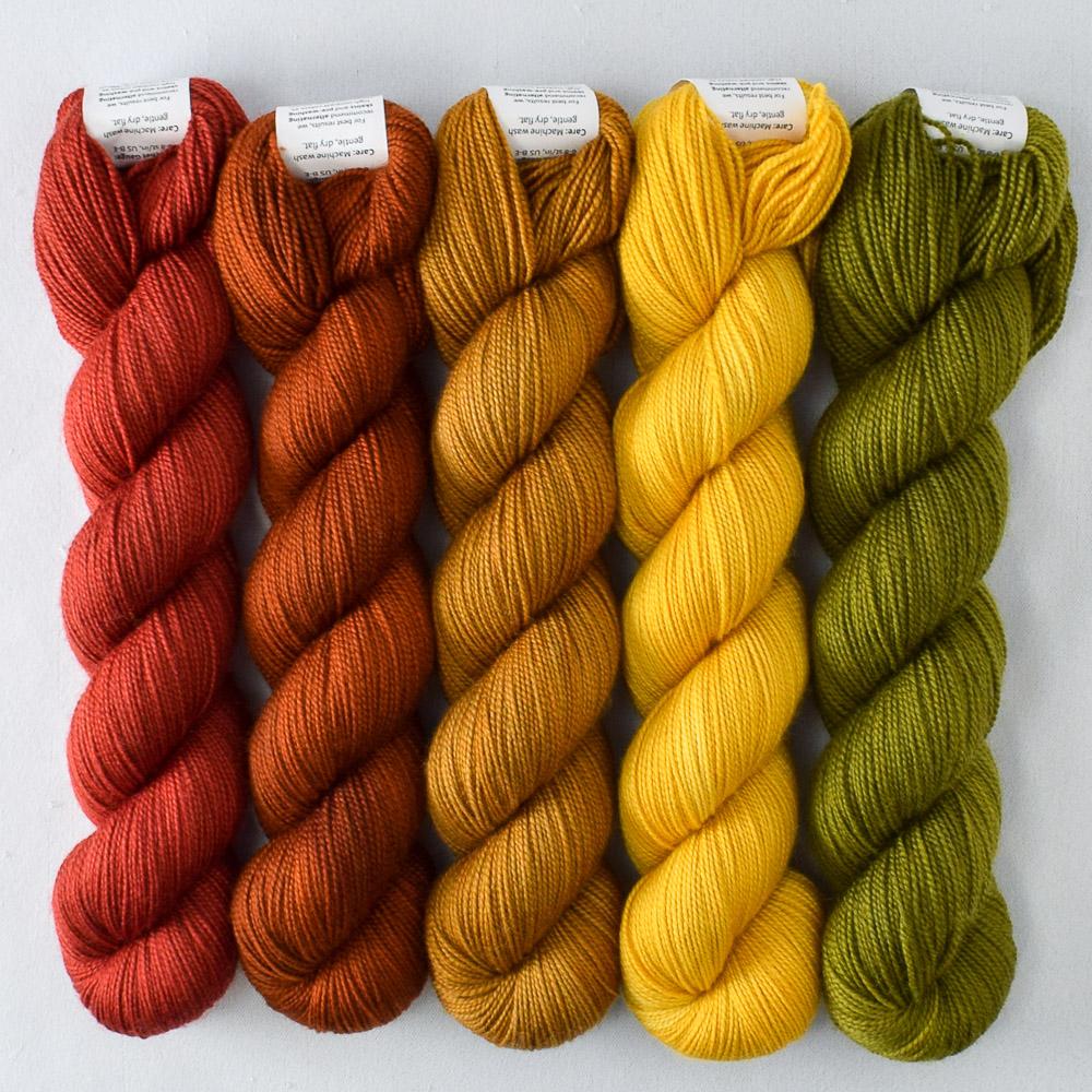 Dark Cygnus, Goldenrod, Moss, Old Gold, Turkey Red - Miss Babs Shawlography Set