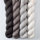 Dark Pegasus, Field Mouse, Oyster, White Peppercorn - Miss Babs Yet Quartet