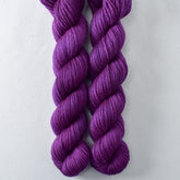 Dark Scorpio - Miss Babs Yowza Mini superwash Merino wool yarn