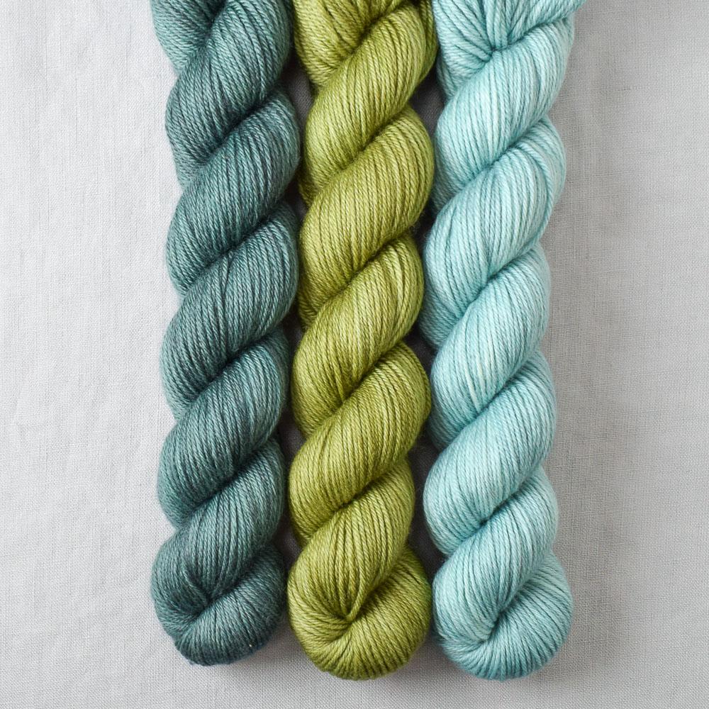 Deer Moss, Fiddlehead, Pallon Beach - Miss Babs Yowza Mini Trio