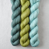 Deer Moss, Fiddlehead, Pallon Beach - Miss Babs Yowza Mini Trio
