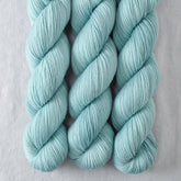 Deer Moss - Miss Babs Putnam Merino wool and nylon sock yarn