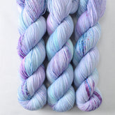 Defender of the Snax - Miss Babs Putnam Merino wool and nylon sock yarn