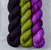 Dragon Claw, Impatient, Impatiens - Miss Babs Yummy 2-Ply Trio