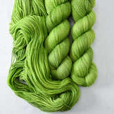 Dragon's Flight - Miss Babs Killington wool and silk blend yarn