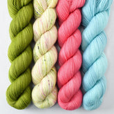 Dragon Claw, Lotus, Mindful, Wandflower - Miss Babs Yummy 2-Ply Quartet