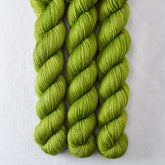 Dragon Claw - Miss Babs Yowza Mini superwash Merino wool yarn