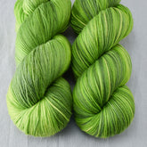 Dragon's Flight - Miss Babs Yowza superwash Merino wool yarn