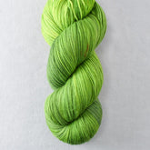 Dragon's Flight - Miss Babs Yowza yarn - Destash Clearance