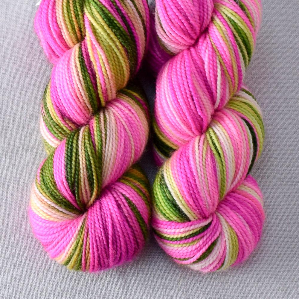 Drunken Watermelon - Miss Babs 2-Ply Toes yarn