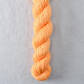 Duck Pond - Miss Babs Yowza Mini superwash Merino wool yarn