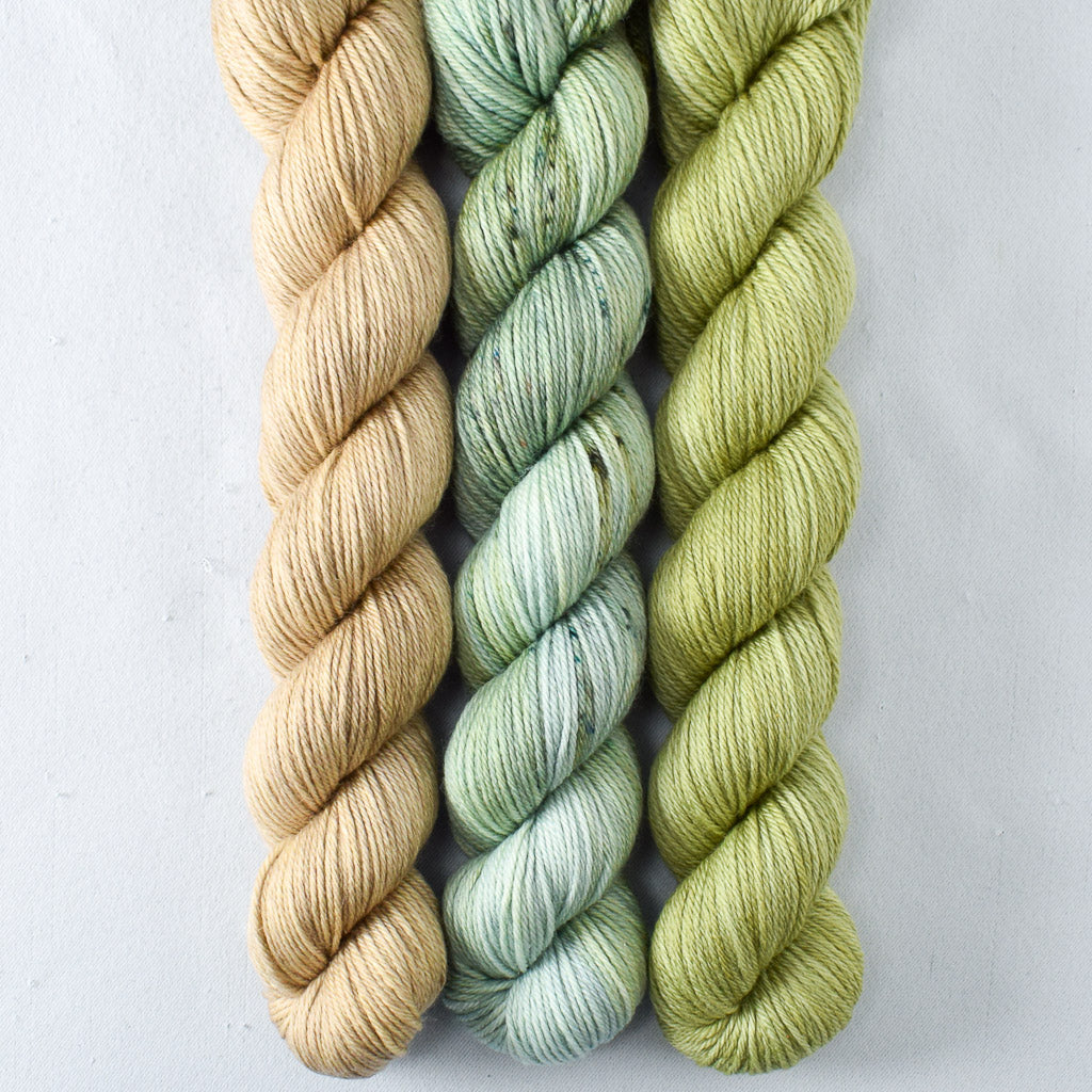 Dunes, In the Meadow, Snakehead - Miss Babs Yowza Mini Trio