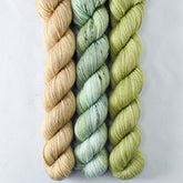 Dunes, In the Meadow, Snakehead - Miss Babs Yowza Mini Trio