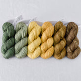 Dutch Iris 2 - Gradient Set