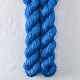 Echo - Miss Babs Yowza Mini superwash Merino wool yarn